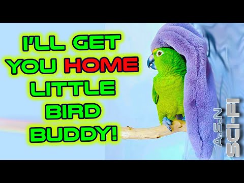 Little Bird Buddy | Best of r/HFY | 1914 | Humans are Space Orcs | DeathWorlders are OP