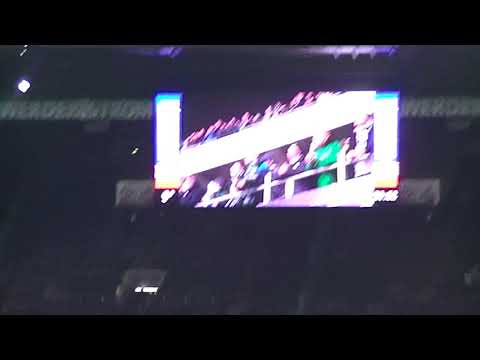 Werder Bremen : Düsseldorf 3:1 (07.12.2018)