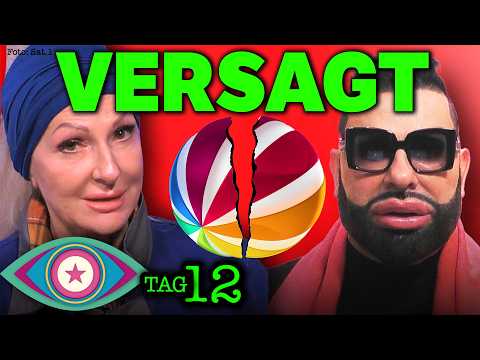 RAUSWURF-HAMMER 😱 SAT.1 BLAMIERT SICH! Promi Big Brother 2025 Tag 12