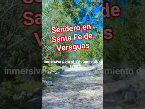 sendero en Santa Fe de veraguas,Panama🌳🇵🇦