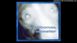 David Thomas & Two Pale Boys - Nobody Knows