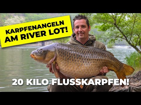 Flussangeln auf Karpfen am River Lot - Mission Big Flusskarpfen! Bootsangeln mit lotofcarp