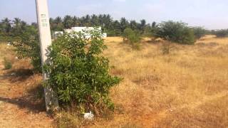 preview picture of video 'Coimbatore Property - Kalapatti (Near NGP College - 15 Acre - Public Use Property)'