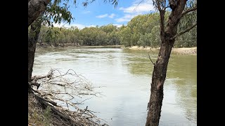 116 Woolscour Road, NARRANDERA, NSW 2700