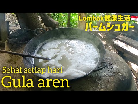 園芸 フォルモサヤシ、タイワンヤシ、ドワーフシュガーヤシ