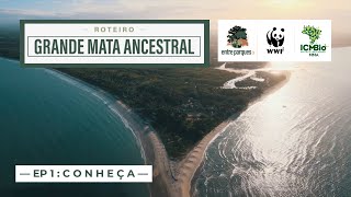 Miniatura do vídeo
