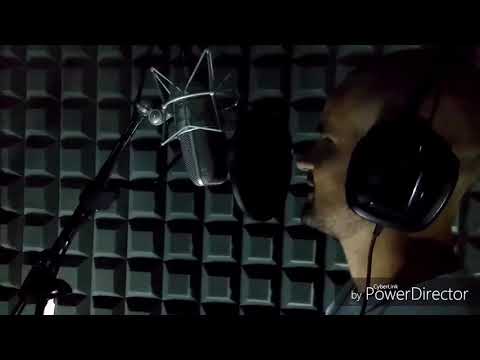 3NDY FT XHIMI XHIMI B & KLAJDI - Edi Qe Ti M'don ( official video)