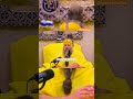 प्यार में धोखा Premanand Ji Maharaj Krishna Premanandjimaharaj Radha Radhaki