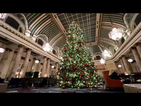 Lets Glow SF: San Francisco's Holiday Light Show 🎄 Dec 11, 2025