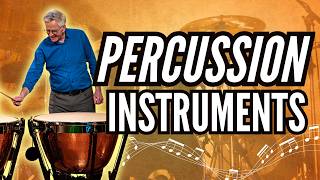 Meet the Percussion Family | Feel the Rhythm of the Orchestra!