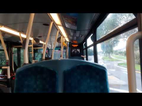 (Short Journey) on route 175, Becontree Heath - Rush Green (DW258)