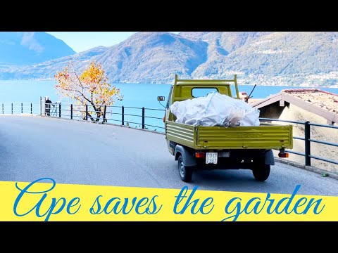 Day 95 of a big renovation on lake Como/ Ape saves the garden