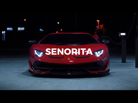 Tyga x Offset Type Beat - "SENORITA" Club Banger Type Beat 2026
