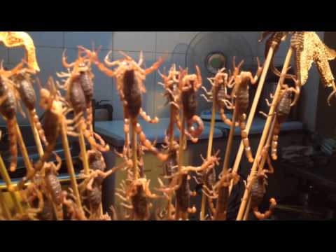 download lagu mp3 mp4 Scorpion Bbq, download lagu Scorpion Bbq gratis, unduh video klip Scorpion Bbq