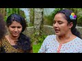 Uppum Mulakum Neelu Wants To Learn Driving Flowers EP 503