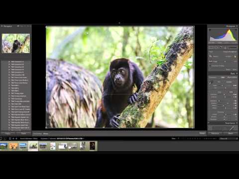 Quick Tip #10 - Rule Of Thirds