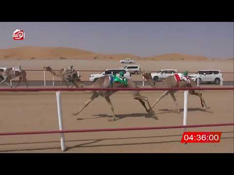 ش 2 (فرح) لـ البخيت جابر مسلم الجنيبي 7:49:47 , شارة الديوان 2026/03/03 ايذاع الرقيعات