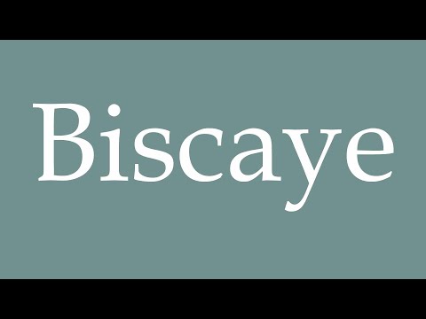 How to Pronounce ''Biscaye'' (Biscay) Correctly in French