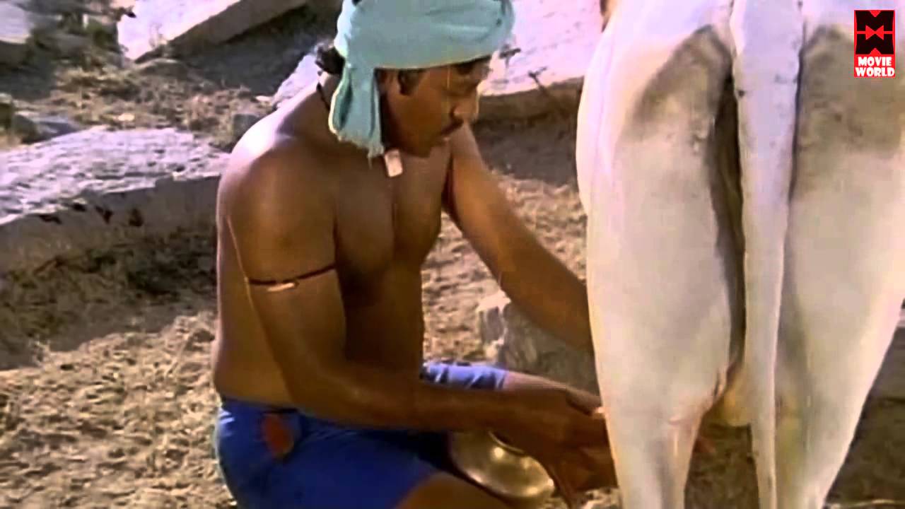 Azhagi Nee Perazhagi Song Lyrics | Enga Ooru Pattukaran | Mano