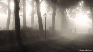 Dawn of Dreams - Picture of You