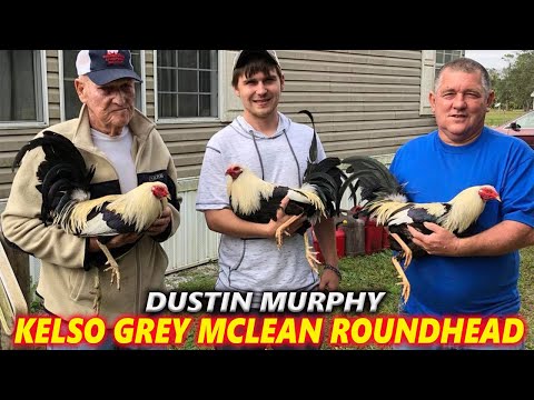 Dustin Murphy McLean Hatch Cecil Davis Kelso Grey Lacy Roundhead - Next Generation Farm