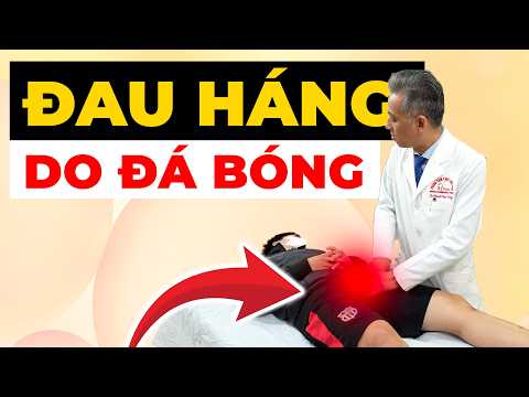 Đau háng khi đá bóng: Sai lầm khiến bạn chấn thương nặng hơn mỗi trận