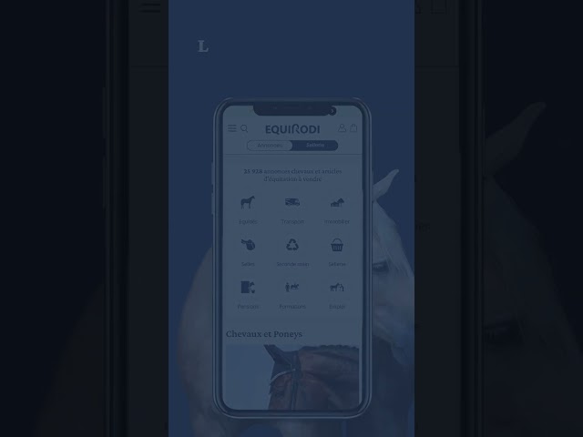 HONGRE ANGLO ARABE NOIR 