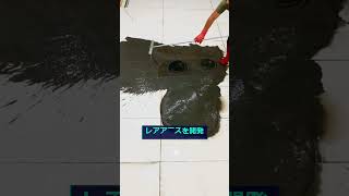 #株式 #投資# 日本株 #資産運用 #投資初心者 #株式投資 #お金の勉強 #長期投資 #配当金 #老後資金