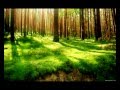 Namaste Gayatri Mantra Эта мантра молитва Богу с просьбой ...