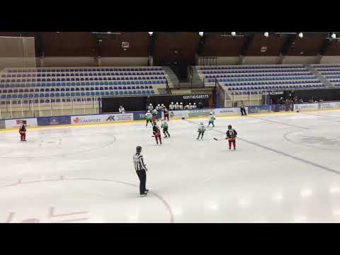 U-12 DP 22.9.2018 HDD Bled - HK SŽ Olimpija 6:7, nekaj utrinkov