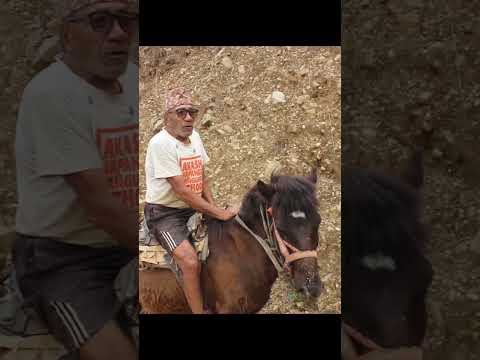 horse ma buwa #horse #villagelife