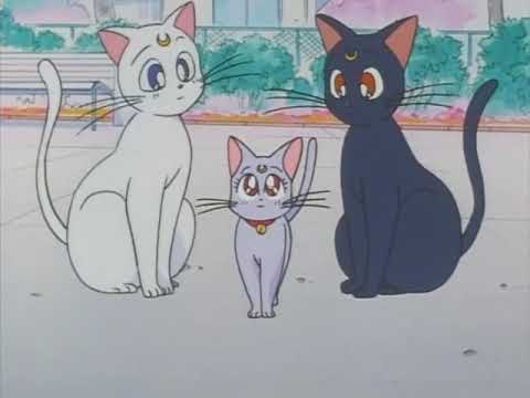 Luna finds out she has a kid with Artemis