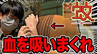 【蚊】お父さんの頭頂部の血なんて吸いたくないけど吸うぞ！#2