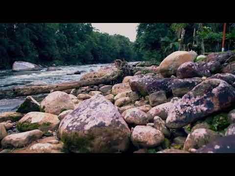 Doce Encanto da Palavra