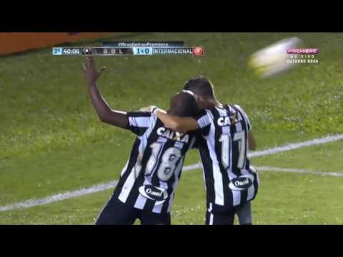 Gol de Sassá -  Botafogo 1 x 0 Internacional - 2016