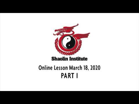 Shaolin Institute Online Lesson Kung Fu Training: GongFu 1 Basics