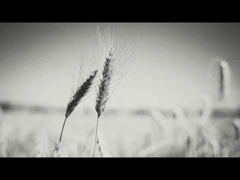 Undyed - Acacia (Full Album)