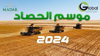 Campagne de récolte et de battage du blé dans la zone agricole de la société Global Agri Food