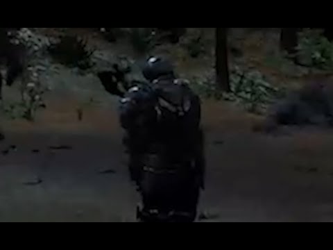 Mortal Online 2: Legion, Icarian Flight