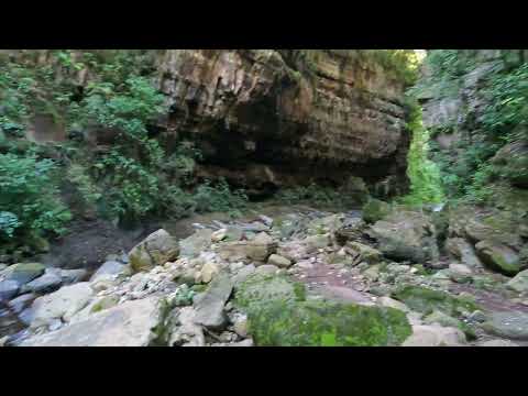 Yungas de San Francisco,jujuy  DRC