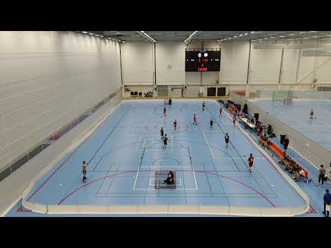 P16 Valtakunnallinen Hatsina-Tiikerit