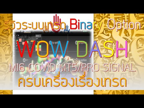 Video WOW Dash M16 PutCall Signal