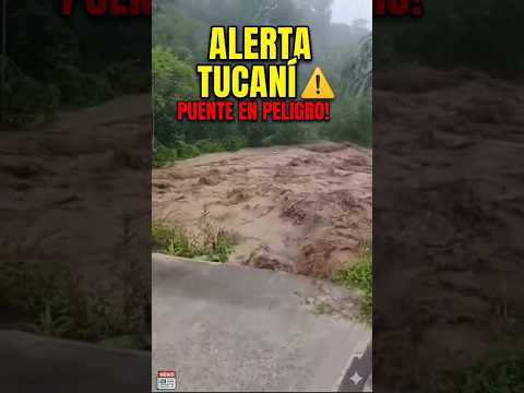 ​Título: ¡ALERTA EN TUCANÍ! Río crecido amenaza con llevarse el puente ⚠️​!