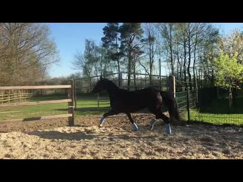 De Niro v. De Niro x Fürst Heinrich