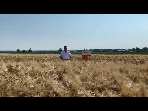 sgl on tour - Sortenvorstellung Gerste