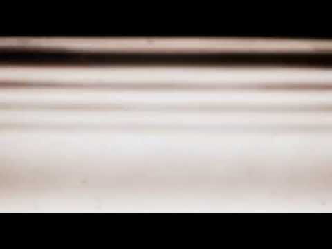 Art Hounds video