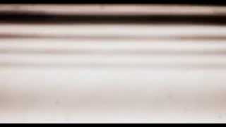 Morrissey - Art Hounds