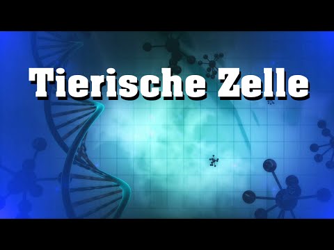 Tierische Zelle - Aufbau und Bestandteile