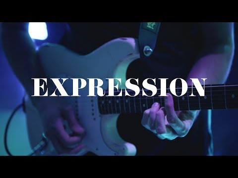 Thumbnail for Expression video