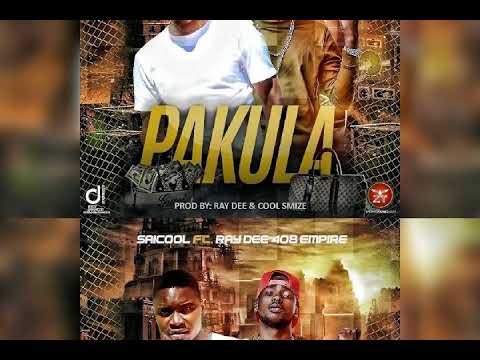 Saicool ft Ray dee 408 empire - pakula